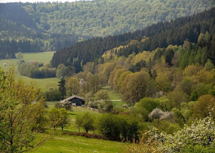 Landhotel Der Schafhof Amorbach